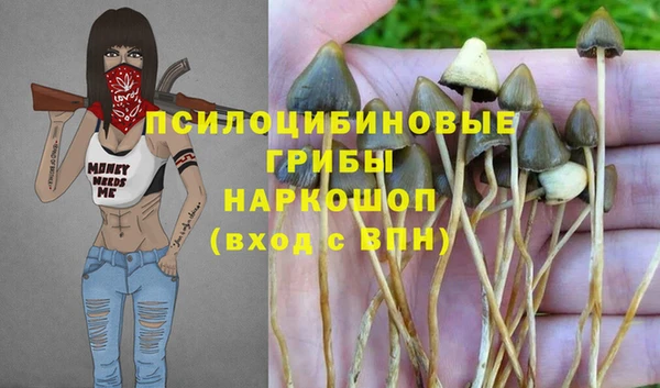 ГАЛЛЮЦИНОГЕННЫЕ ГРИБЫ Киренск