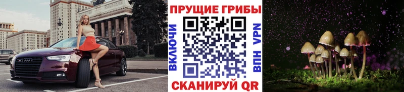 Купить где  Донской  Псилоцибиновые грибы ЛСД 